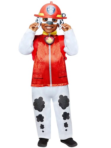Amscan official paw patrol - amscan,